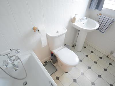 Picture 16
